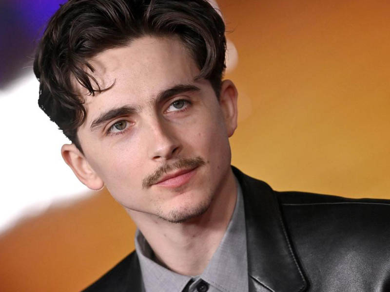 Timothée Chalamet